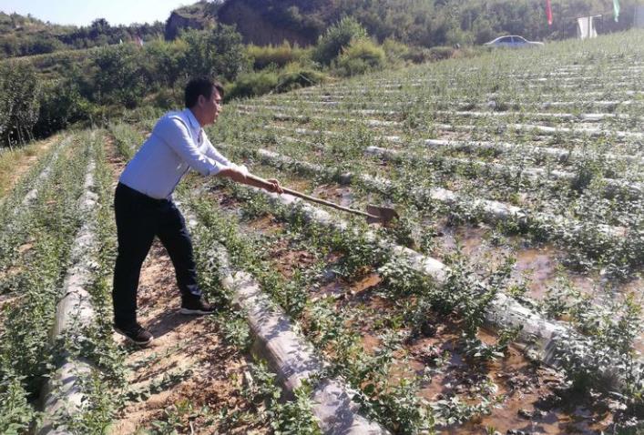 白衣村书记李建忠：让穷山沟开出致富花