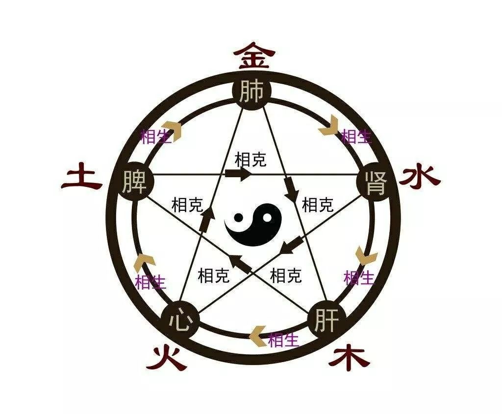 中国传统文化——中医药文化 (图3)